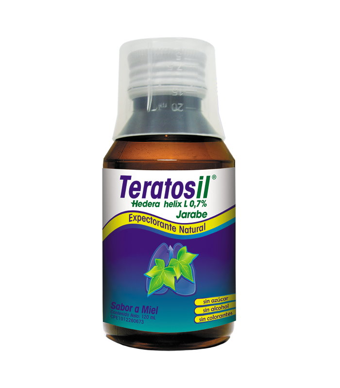 TERATOSIL MIEL JBE 120 ML