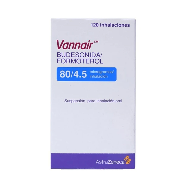 VANNAIR 80/4.5 MCG/DOSIS SUSP. EN AEROSOL