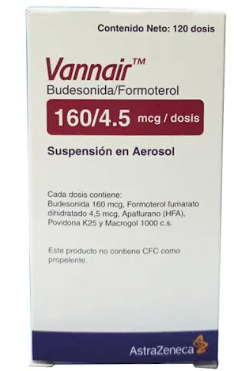 VANNAIR 160/4.5 MCG/DOSIS SUSP. EN AEROSOL