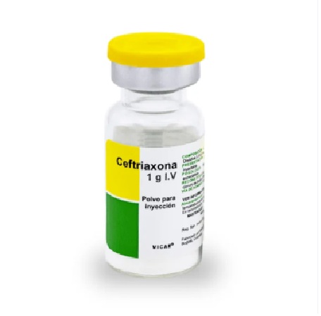 CEFTRIAXONA 1G AMPOLLA PARA RECONSTITUIR