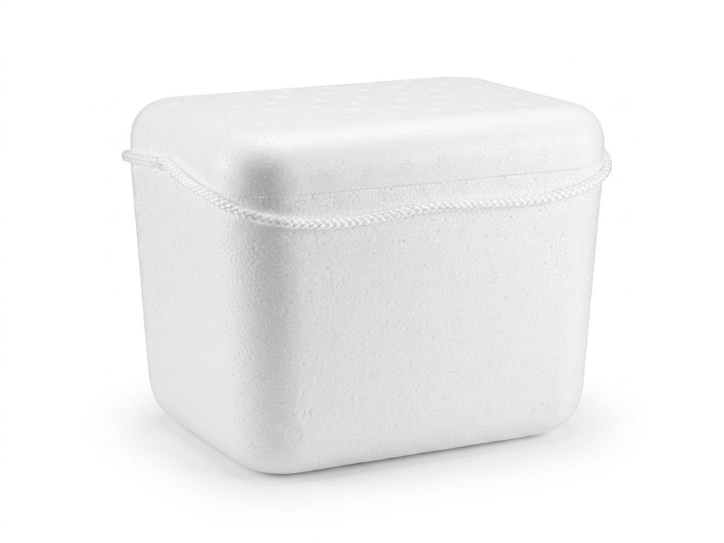 CAVA PEQUEÑA PARA ENVIO REFRIGERADO