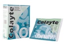 COLAYTE POLVO 69,57G EN SOBRE