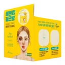 ARIUL THE PERFECT EXPERT  60 OIL PAD 